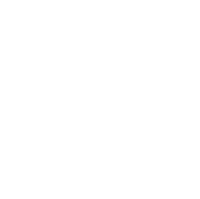 logo_white_transparent